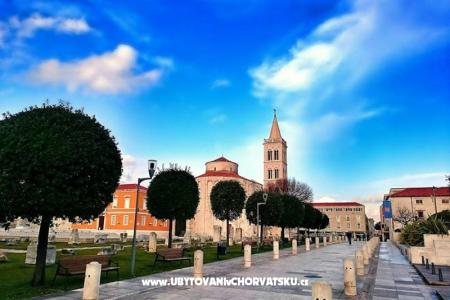 Apartments Ravkin photo 3