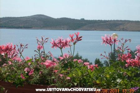 Apartments Lora photo 4