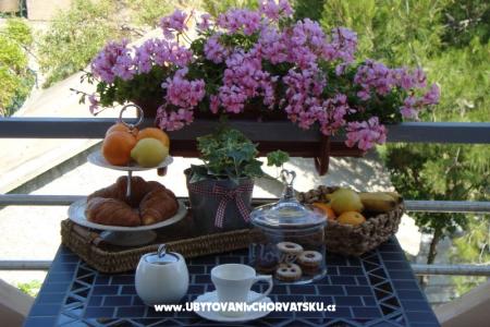 Apartments Marija photo 2