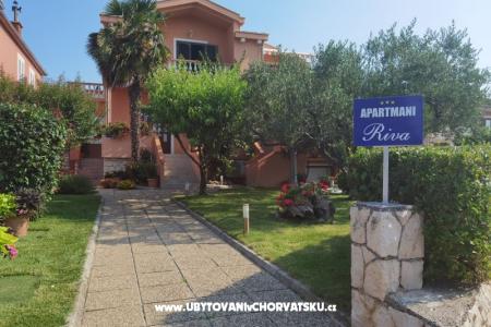 Apartments Riva Zadar Croatia