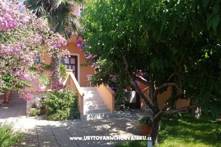 Apartments Riva photo 5
