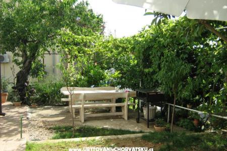 Apartments TEA photo 4