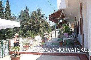 Apartments Drago photo 4