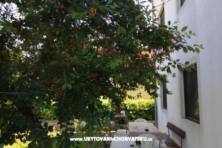 Apartment Tina photo 3