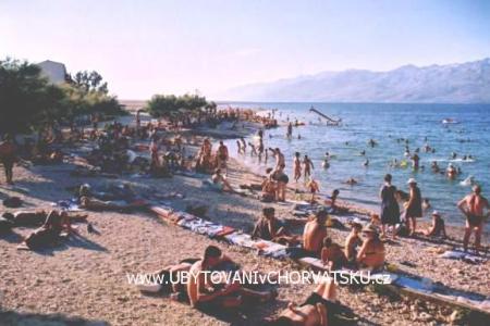 Apartments Janica photo 3