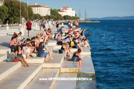 Apartments Lara photo 3