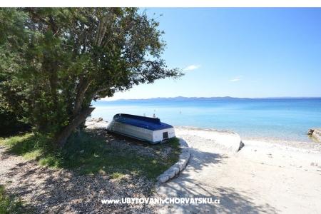 Blue Sea photo 2