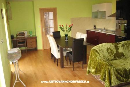 Elvis - Zadar photo 5