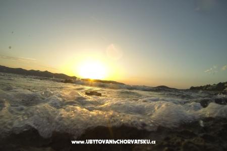Esso Grande photo 5