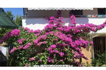 Lucija apartmány photo 2