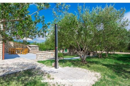 Vacation house Maslina photo 4