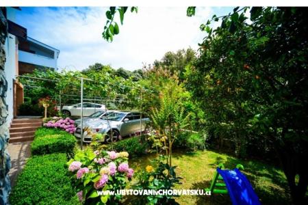 Villa IBIS photo 3