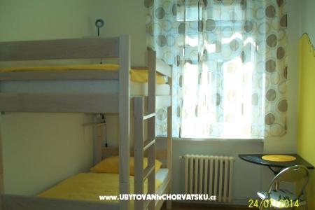 Chameleon hostel photo 5