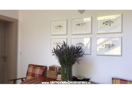 Apartments Jardin photo 4