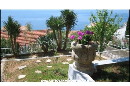 Apartment Amalia photo 4