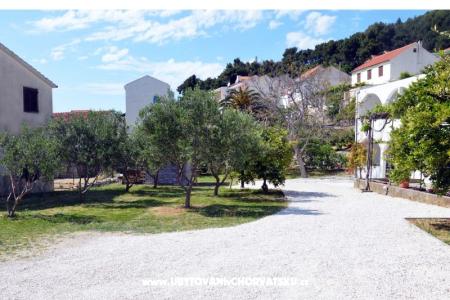 Apartments Matutinovic photo 3