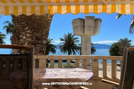 Vila Danica photo 4