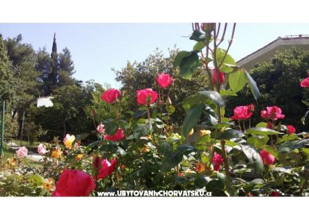 Love Zaostrog photo 3