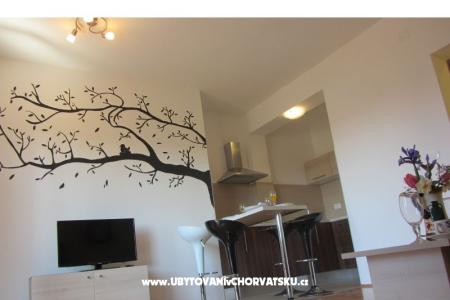 Apartments Zora photo 4