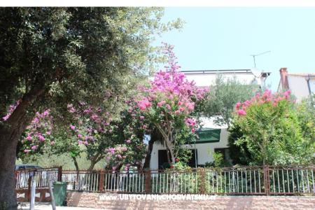 Apartments Vila Filipovic photo 2