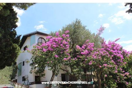Apartments Vila Filipovic photo 3
