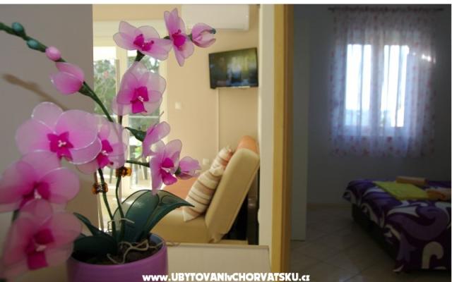 Apartmani Lovre – Accommodation Bibinje Kroatië