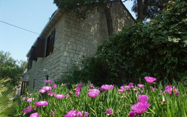 Villa Santa Lucia – Accommodation Island of Brac Kroatië