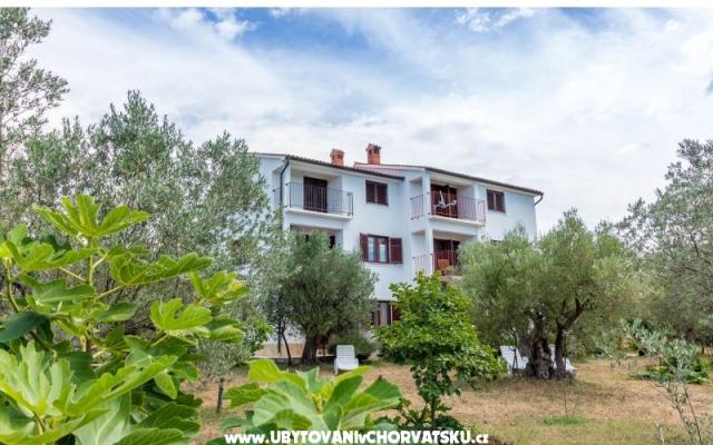 Apartmani Amalia Fažana – Accommodation Fazana Kroatië