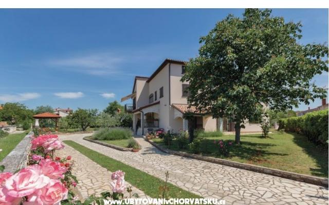 Apartman NIKOLIC – Accommodation Fazana Kroatië