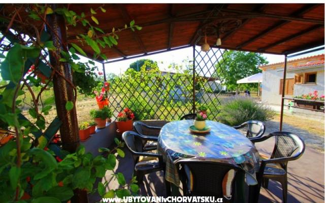 Apartman Sandra  – Accommodation Fazana Kroatië