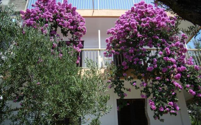 Apartman Gradac Falak – Accommodation Gradac – Podaca Kroatië
