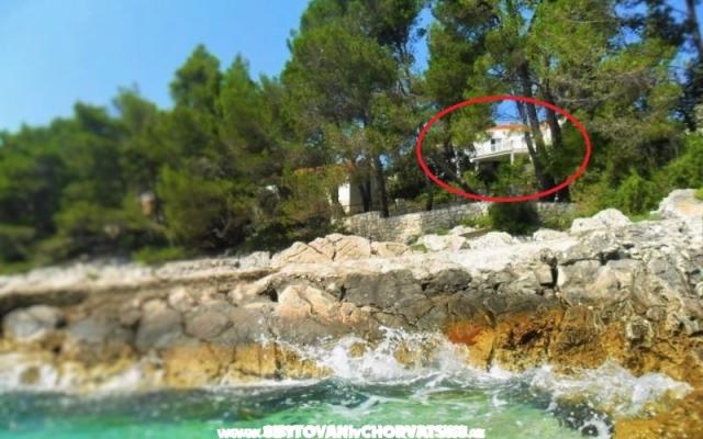 Apartmani Marica Pecotić  – Accommodation Korcula Kroatië