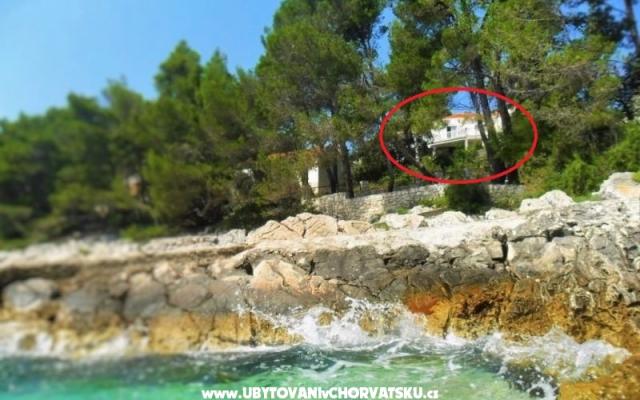 Apartments Marica P. – Accommodation Korcula Kroatië