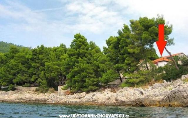 Kuća za odmor Villa Antea – Accommodation Korcula Kroatië