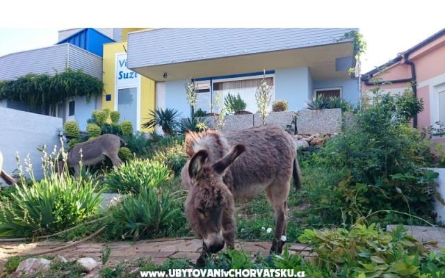 Villa Suzi – Accommodation Kraljevica Kroatië