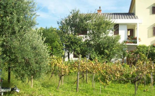 Apartmani Vasilić – Accommodation Island of Krk Kroatië
