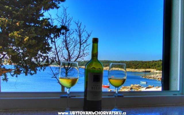Apartman Rajka – Accommodation Labin Kroatië