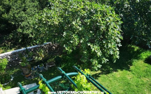 Apartmani Garden paradise – Accommodation Makarska Kroatië