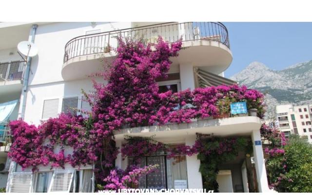 Apartments ANTE – Accommodation Makarska Kroatië