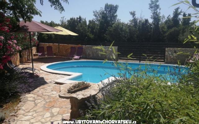 Sunny pool Apartments – Accommodation Maslenica Kroatië
