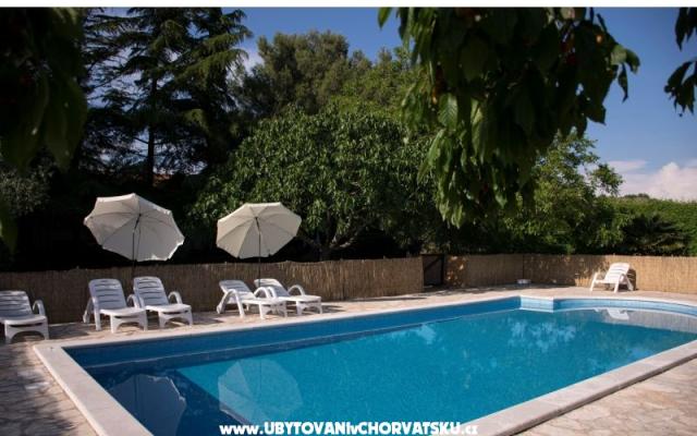Sanja Apartments Novigrad – Accommodation Novigrad Kroatië