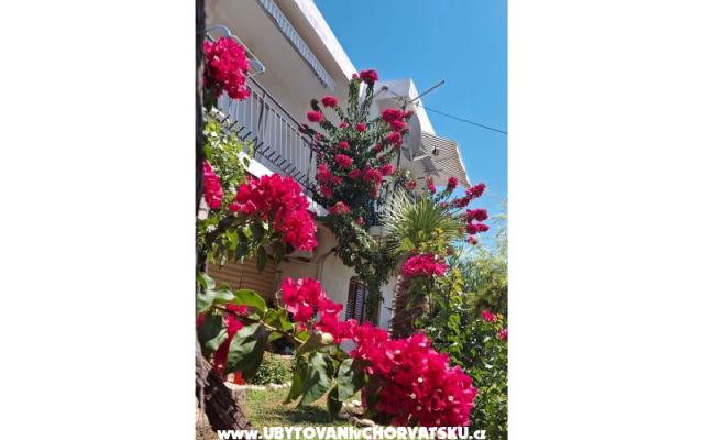 Apartments Sokolić – Accommodation Novi Vinodolski Kroatië
