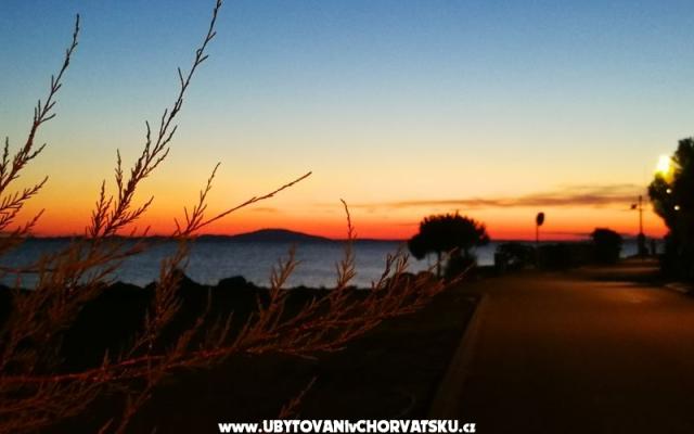 Apartmani Elenor – Accommodation Island of Pag Kroatië