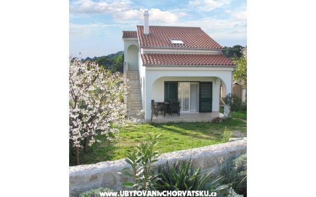 Apartman Niko – Accommodation Island of Pasman Kroatië
