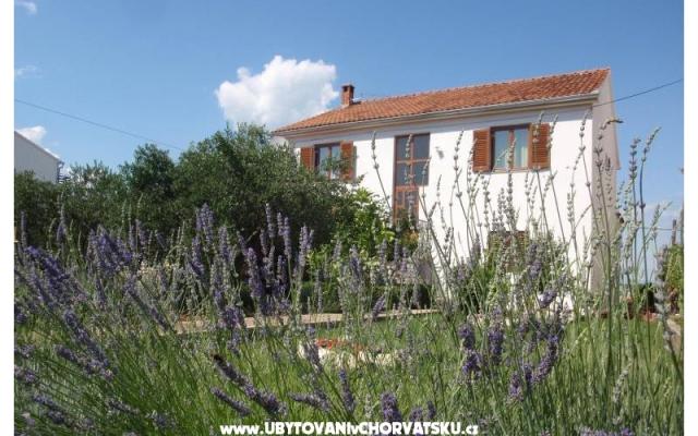 Apartmani Blazenka – Accommodation Island of Pasman Kroatië
