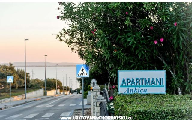 Apartmani Ankica – Accommodation Petrcane Kroatië