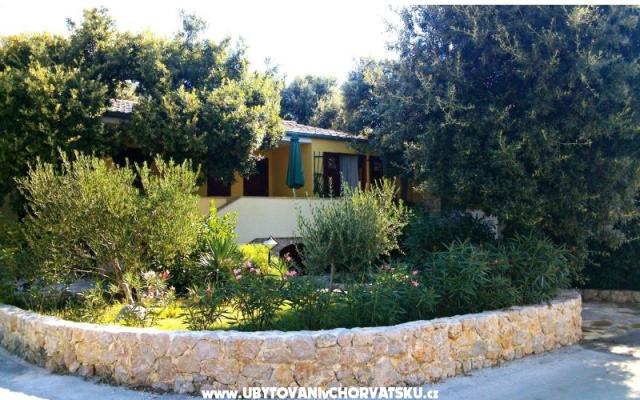 Apartments Dani – Accommodation Petrcane Kroatië