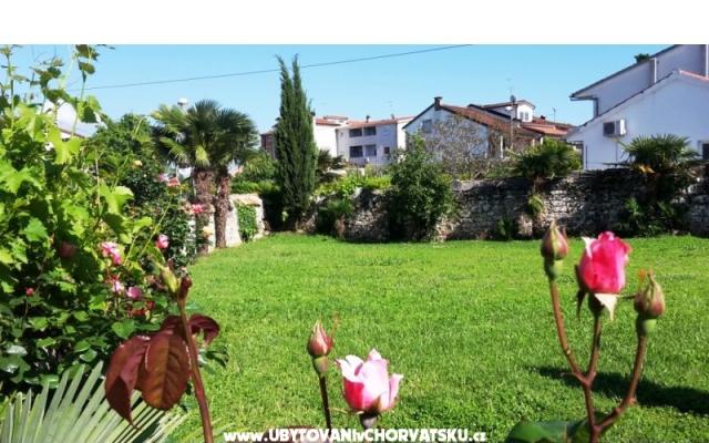 Apartmani Gracija – Accommodation Porec Kroatië