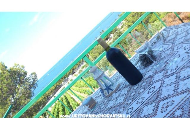 Apartmani vila Diana – Accommodation Primosten Kroatië