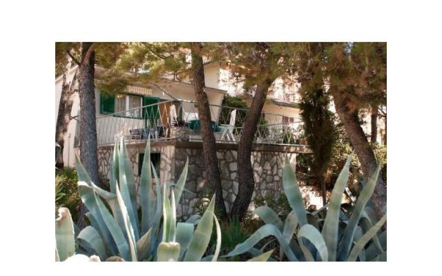 Kuća za odmor Vlasta – Accommodation Primosten Kroatië